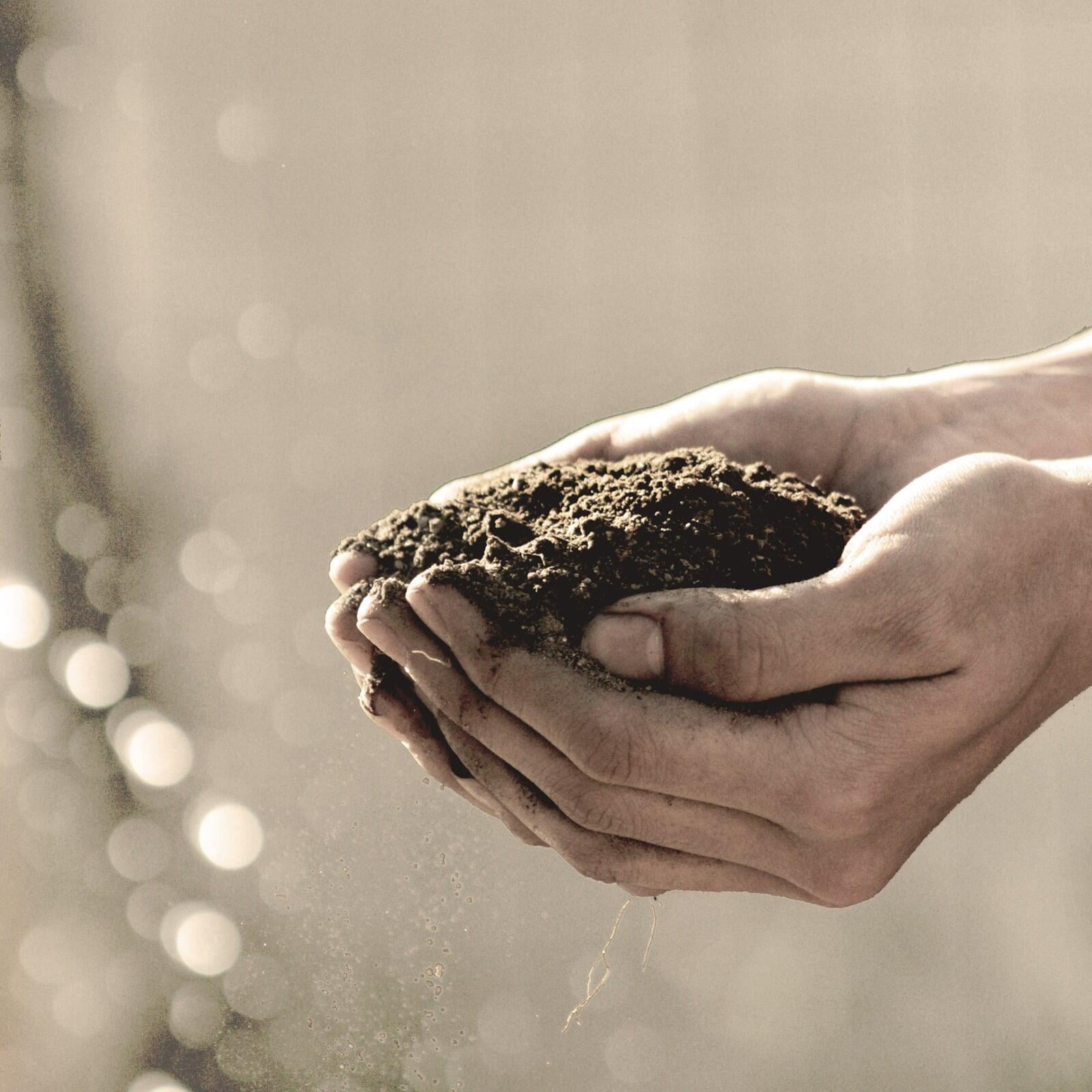 Compost Montreal Compost Montréal